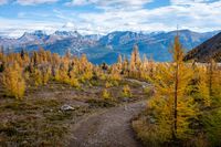 Hike the Canadian Rockies