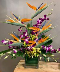 Give someone this exotic arrangement of Birds of Paradise with vibrant purple dendrobium orchids and lush greenery. A statement arrangement for home or office.