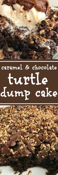 1 small box (3.4 oz) Jell-O Chocolate Instant Pudding Mix1 1/2 cups whole milk3/4 cup caramel sauce, divided1 box (15.25 oz) chocolate fudge cake mix, DO NOT prepare1 bag dark chocolate chips1/2 cup chopped pecans