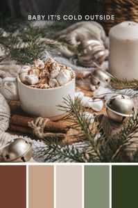 Use these palettes in your social media graphics, brand colors, packaging, business cards, and more! #color #colour #winter #holiday #christmas #palette #design #inspiration #colorpalette #colorcombo