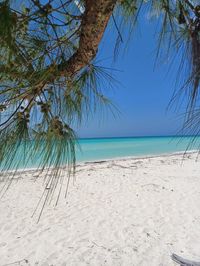 Grand Bahama Island, Bahamas #summervibes #beachvibes #beachday #beachdestination #aesthetic #travel #traveling