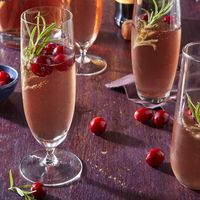 Cranberry-Prosecco Cocktail