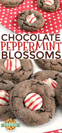 CHOCOLATE PEPPERMINT BLOSSOMS - Family Cookie Recipes