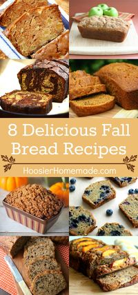 Nothing says "FALL" quite like a loaf of Pumpkin Bread! Or maybe it's Apple Cider Bread - or Zucchini Bread! No matter which one is your favorite, you will love these Fall Bread Recipes!