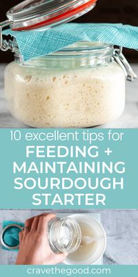 Learn my best tips and tricks for feeding sourdough starter. These easy tips help you determine the schedule, and the by weight ratio for feeding. Learn how to store it in the fridge, and feed it before baking. I've even included a link to my how to make a sourdough starter recipe! | cravethegood.com