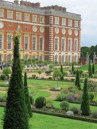 Hampton Court Palace: The Privy Garden ‘The Little Gentleman in the Black Velvet Waistcoat’ - The Garden Visitor