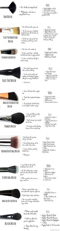 Face brushes come with pretty specific purposes. | 27 Charts That Will Help You Make Sense Of Makeup