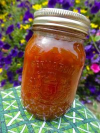 Scrumpdillyicious: Homemade Sweet & Savoury Tomato Chutney