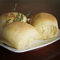 Homemade Kamut Rolls Recipe