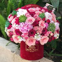 Signature Velvet Raspberry box filled with roses and succulents in Burbank, CA | Boxed Flowers and Sweets