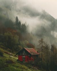 A rustic red cabin surrounded by misty mountains and dense forest. The striking red color of the cabin stands out against the mist, creating a cozy and inviting hideaway. Misty Mountain Cabin.