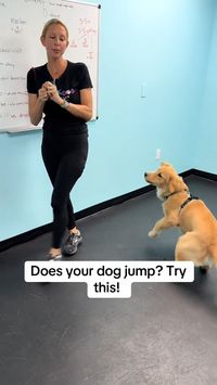 Train your puppy to greet guests with paws on the ground! 🐶 Click the profile link for FREE dog training tips. 🐾 #TrainingAPuppyNotToJump #PuppyTraining #FreeTraining