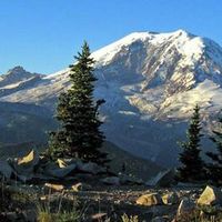 Bearhead Mountain (dog friendly), 6 miles RT, 1800 ft gain. A moderate, well-marked trail through the forest that carries you to an old fire lookout site with a bold and brassy Rainier view.