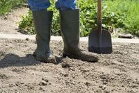 There are few things a gardener can do that will improve a garden more than creating well-draining soil.  Compacted clay soils are notorious for encouraging conditions that lead to root rot in any ...