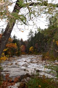 Visiting New Hampshire during fall.