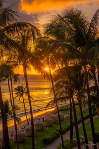 A summer sunset in Maui, Hawaii Want to know more about the print products I offer?  See below! Interested in seeing other photos of mine?  Browse my store, check out my Instagram/Facebook (@91PerksPhotography) or visit www.91Perks.com   INFO BELOW  PRODUCT INFORMATION & DETAILS Each print and/or finished piece is made to order in a professional lab.  A digital signature will be in one corner of the art piece as proof of authenticity.  Classic Prints - This photo paper has a standard photo finis