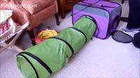 Expandable Cat Tunnel: Petmate Jackson Galaxy Toys Base Camp Carrier with Tunnel - Floppycats  http://youtu.be/vWTbt1BZSR8