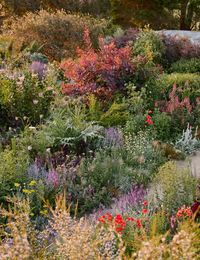 A Breathtaking Painterly Garden On The Mornington Peninsula