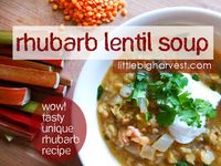 little*big*harvest: Rhubarb Lentil Soup