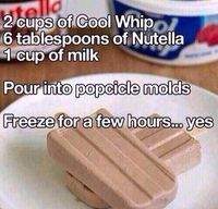 Home made fudgesicles