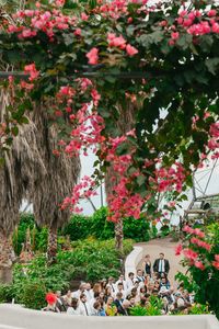 eden project wedding in cornwall, cornwall wedding, biome wedding, tropical wedding, Mediterranean wedding, olive bridesmaid dresses, uk wedding, cornish wedding, green bridesmaids, tropical flowers, palm trees