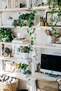 Office space full of life (and greenery).