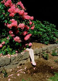 Nature by Jimmy Marble | Mermaidens - Musings of a Modern Mermaid