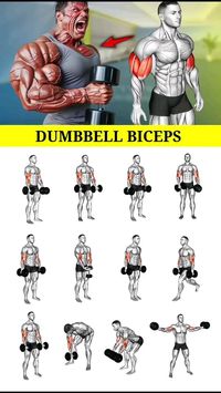 Most Effective Dumbbell Biceps Workout