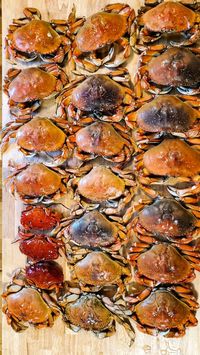 It's that time of the year when we got 24 crabs from the Oregon Coast. This time we cheated- we ride the boat, since the pier was damaged from a typhoon. Here's how to cook Dungeness Crab.