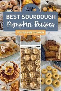 If you're looking for the best sourdough pumpkin recipes, then you've come to the right place. Some people roll their eyes at pumpkin spice and all things nice. I am not one of those people!