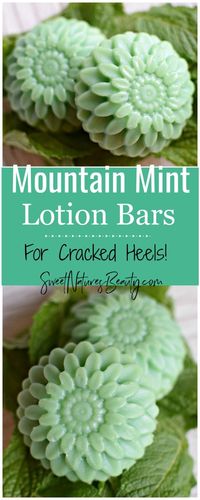 Mint Lotion Bars