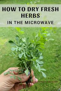 How to dry fresh herbs in the microwave. Of all the dehydration methods used for fresh herbs, the microwave is the fastest and produces the best color.