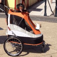 Buy Sporty Pet Stroller and Bike Trailer by Innopet - IPS-050/AT in UK – PetsOwnUs