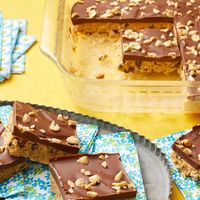 No-Bake Peanut Butter Bars