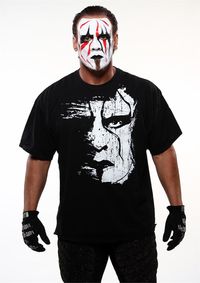 Sting-The Stinger...unique and passion-filled wrestler and person!