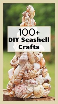 Turn your seashells into home decorations with these seashell crafts & DIY Projects. Follow the link to completely-coastal.com and discover awesome sea shell DIY projects and DIY ideas and start transforming your shells into beautiful home accents.