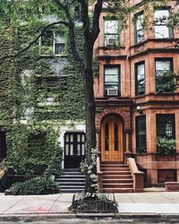 Historic Brooklyn Homes