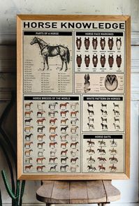 Kentucky Derby Lore Infographic