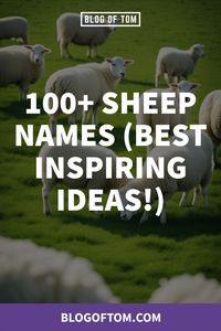 Are you welcoming a new woolly friend to your family and struggling to find the perfect name? Explore our creative and fun blog post on Sheep Names! Dive into a world of adorable and quirky names that will suit your fluffy buddy to a T. Do ewe want to know more? Click the link and follow us for daily inspiration on all things cute and cuddly!