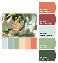 Paint colors from ColorSnap by Sherwin-Williams