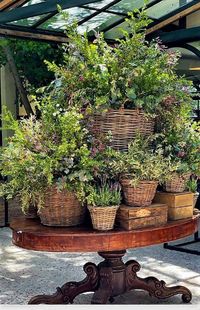 potted plants in baskets on display