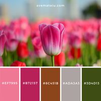 Selective Focus Photography of Pink Petaled Flower Color Palette #182 - Color combination, Color pallets, Color palettes, Color scheme, Color inspiration, Colour Palettes, Art, Inspiration, Vintage, Bright, Blue, Warm, Dark, Design, Yellow, Green, Grey, Red, Purple, Rustic, Fall, Autumn, Winter, Summer 2019, Nature, Spring, Summer, Flowers, Sunset, Sunrise, Pantone