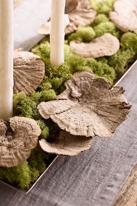 Hand-harvested and preserved especially for terrain, these natural shelf mushrooms make a woodsy decorative element for centerpieces, wreaths, garlands, mantels, indoor plantings, and more. | Preserved Shelf Mushrooms by Terrain in Brown at Anthropologie