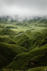 https://flic.kr/p/LJFPHJ | Dzukou Valley