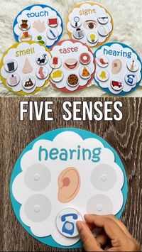 Five senses sorting Activity | Toddler learning activities, Kindergarten activities, Preschool activities