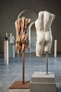 Andreas Kuhnlein, Torso männlich, 2014, Eiche, 120 x 50 x 34 cm © Staatliche Antikensammlungen und Glyptothek München, fotografiert von Renate Kühling