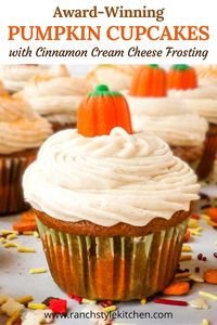 These award-winning Pumpkin Cupcakes with easy Cinnamon Cream Cheese Icing are soft, moist, and so delicious! They're made with pumpkin puree and pumpkin pie spice along with cinnamon and cloves for the perfect blend of warm fall flavors! They make the perfect Thanksgiving and Halloween treat! #recipe #dessert #cupcakes #cupcakeideas #pumpkinspice #pumpkindesserts #thanksgivingrecipe #thanksgivingdessert #halloweendesserts