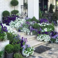 24 Stunning Flower Bed Ideas for Front of House | Balcony Garden Web