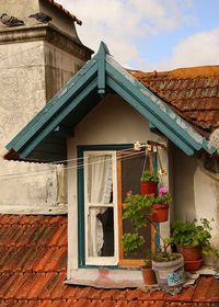 Sintra, Portugal ...A wonderful little gable window with white ruffled curtain and a clothesline!