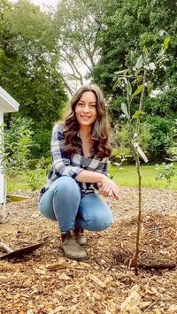 Planting fruit trees in my mini orchard so I can pick a different fruit in my garden every month for the entire growing season 🍑🍎🍒🍐 let me know if you want my recs for the best place to get fruit trees. #planting #plantingtrees #fruittree #fruittreesinmybackyard #backyardorchard